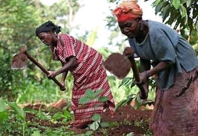 Epreuve Géographie 1ere